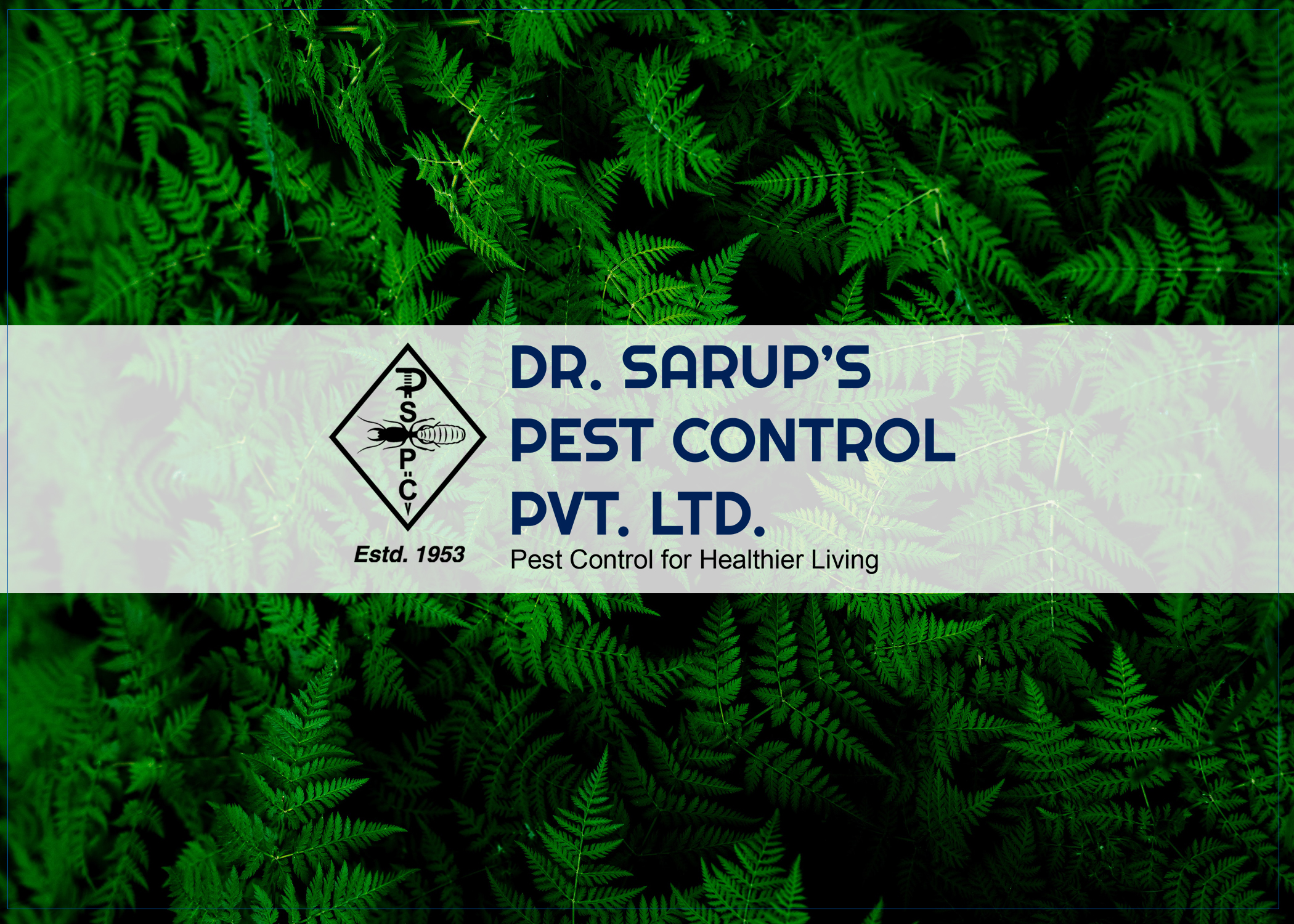 Dr.Sarups Pest Control Pvt Ltd