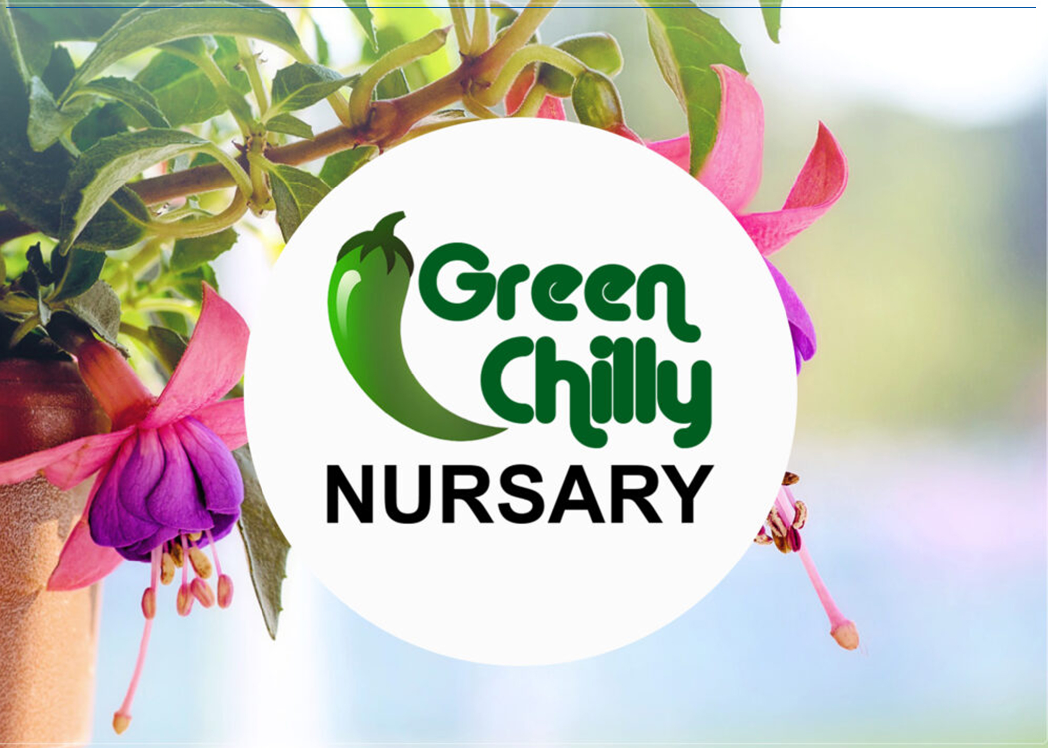 greenchilly